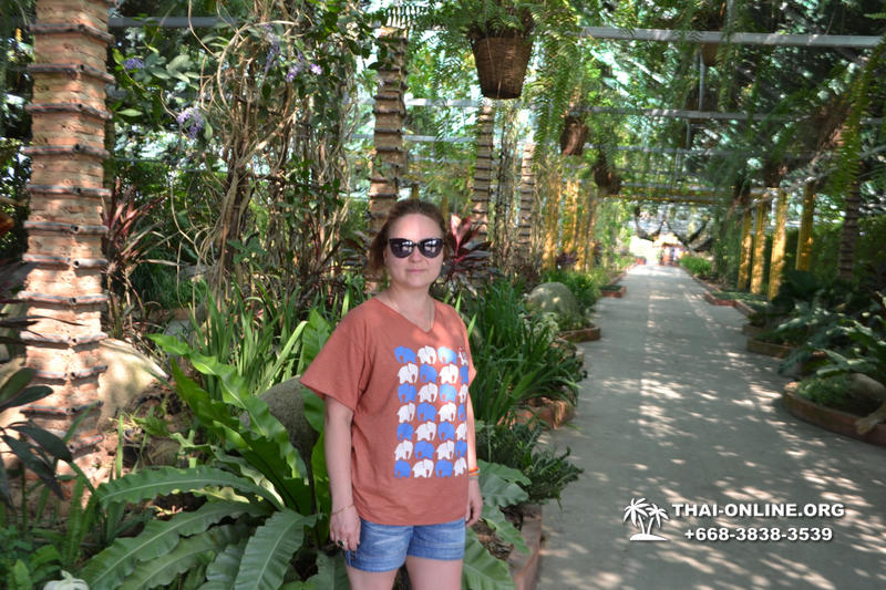 Travel to Nong Nooch Tropical Garden in Pattaya Thailand photo 124