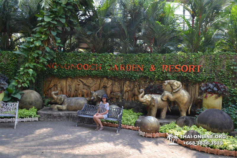 Travel to Nong Nooch Tropical Garden in Pattaya Thailand photo 182