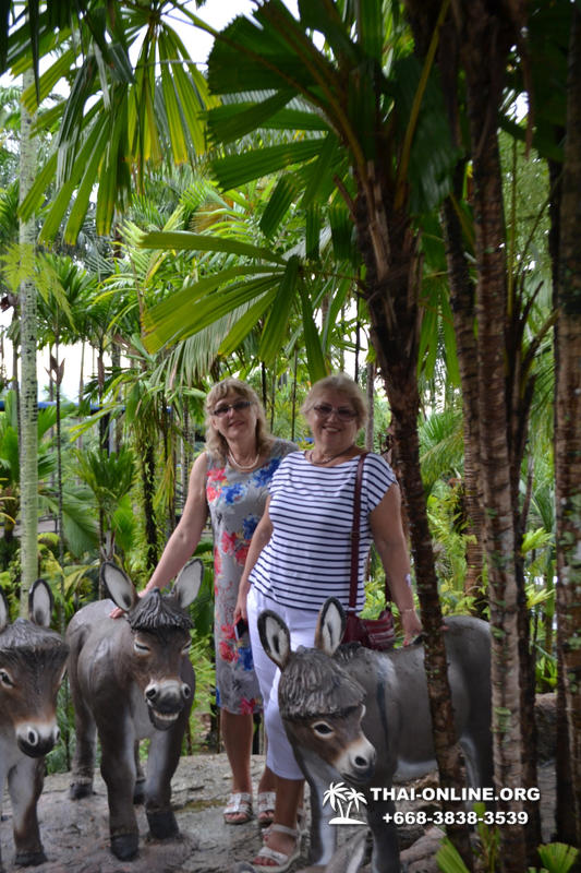 Travel to Nong Nooch Tropical Garden in Pattaya Thailand photo 493