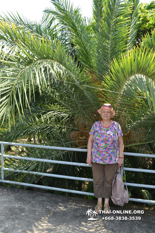 Travel to Nong Nooch Tropical Garden in Pattaya Thailand photo 10
