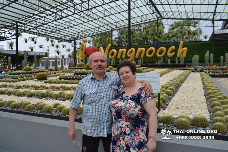 Nong Nooch Tropical Garden with shuttle-bus excursion, lunch, elephant show, Thai folklore show and Pattaya Snake Show guided tour photo 49
