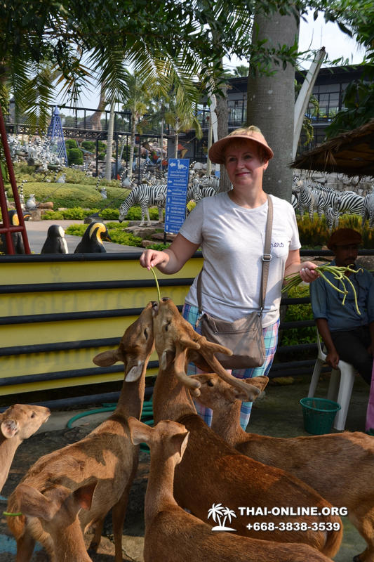 Travel to Nong Nooch Tropical Garden in Pattaya Thailand photo 462