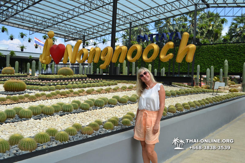 Travel to Nong Nooch Tropical Garden in Pattaya Thailand photo 109