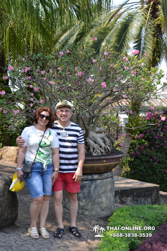 Travel to Nong Nooch Tropical Garden in Pattaya Thailand photo 35