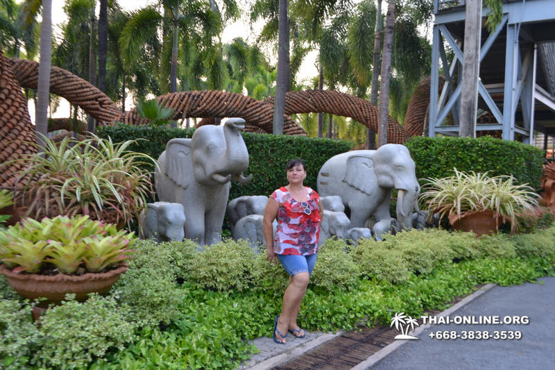 Travel to Nong Nooch Tropical Garden in Pattaya Thailand photo 114