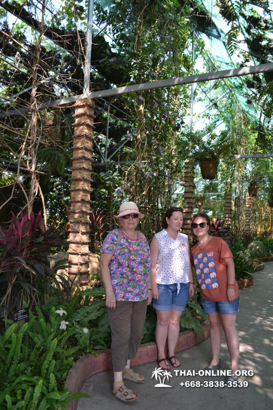 Nong Nooch Tropical Garden with shuttle-bus excursion, lunch, elephant show, Thai folklore show and Pattaya Snake Show guided tour photo 45