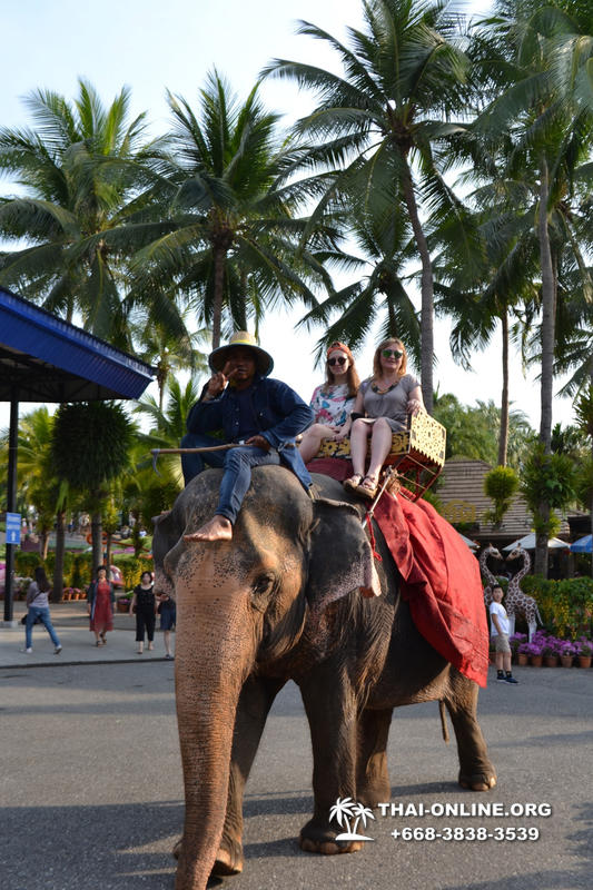 Travel to Nong Nooch Tropical Garden in Pattaya Thailand photo 421
