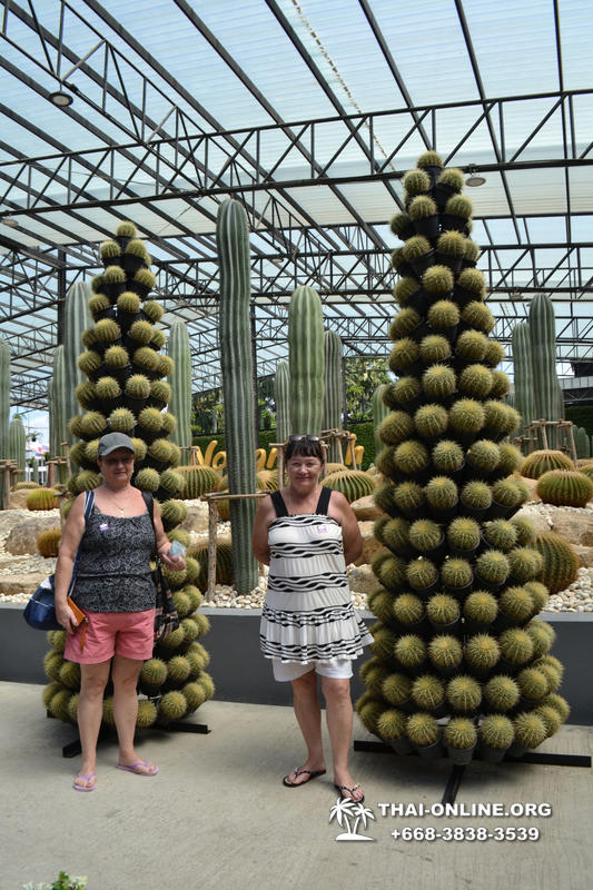 Travel to Nong Nooch Tropical Garden in Pattaya Thailand photo 245
