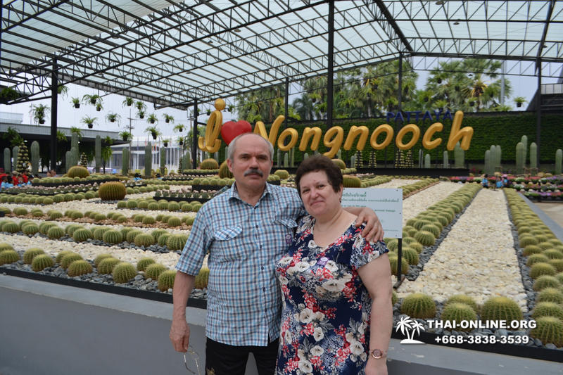 Nong Nooch Tropical Garden with shuttle-bus excursion, lunch, elephant show, Thai folklore show and Pattaya Snake Show guided tour photo 23