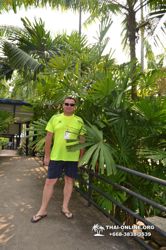 Travel to Nong Nooch Tropical Garden in Pattaya Thailand photo 384