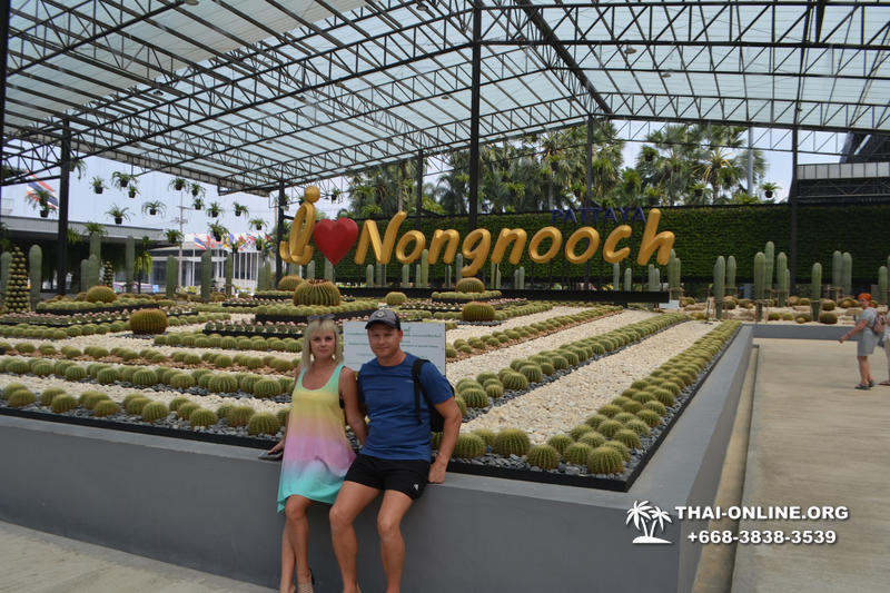 Travel to Nong Nooch Tropical Garden in Pattaya Thailand photo 377