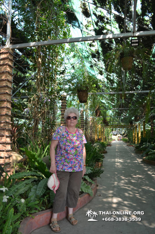 Travel to Nong Nooch Tropical Garden in Pattaya Thailand photo 32