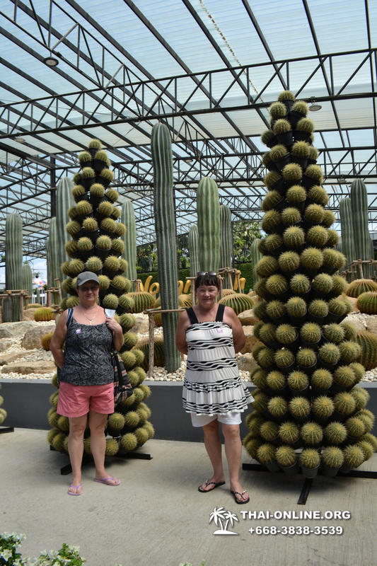 Travel to Nong Nooch Tropical Garden in Pattaya Thailand photo 274