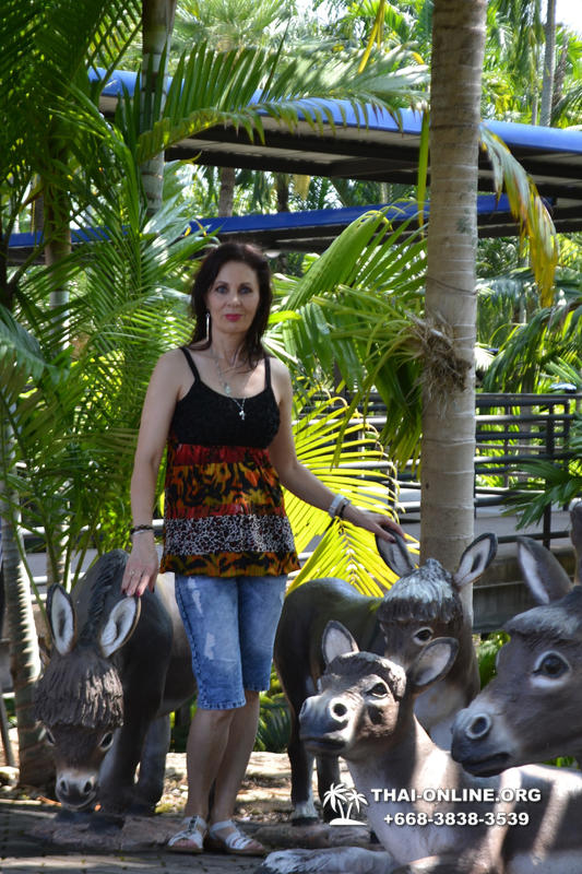 Travel to Nong Nooch Tropical Garden in Pattaya Thailand photo 188