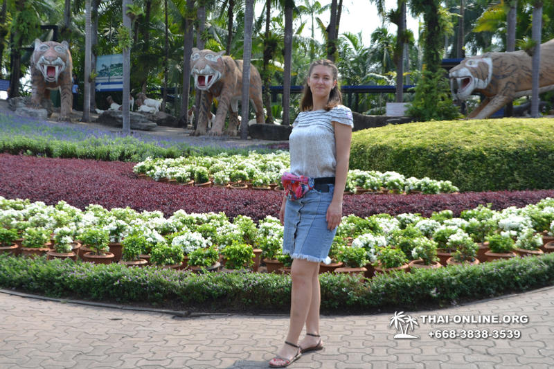 Nong Nooch Tropical Garden with shuttle-bus excursion, lunch, elephant show, Thai folklore show and Pattaya Snake Show guided tour photo 33