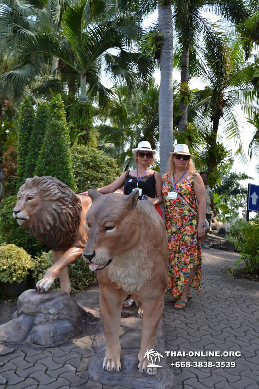 Nong Nooch Tropical Garden with shuttle-bus excursion, lunch, elephant show, Thai folklore show and Pattaya Snake Show guided tour photo 51