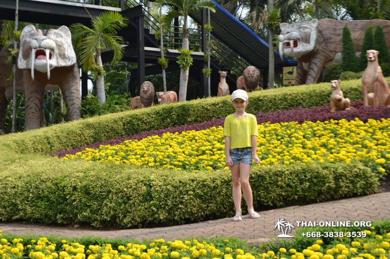 Travel to Nong Nooch Tropical Garden in Pattaya Thailand photo 41