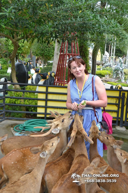 Travel to Nong Nooch Tropical Garden in Pattaya Thailand photo 235