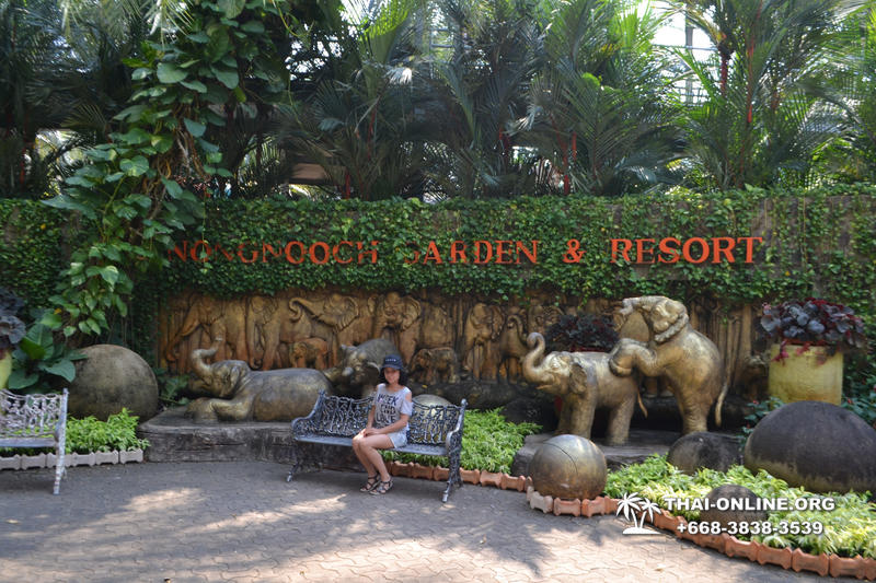 Travel to Nong Nooch Tropical Garden in Pattaya Thailand photo 278