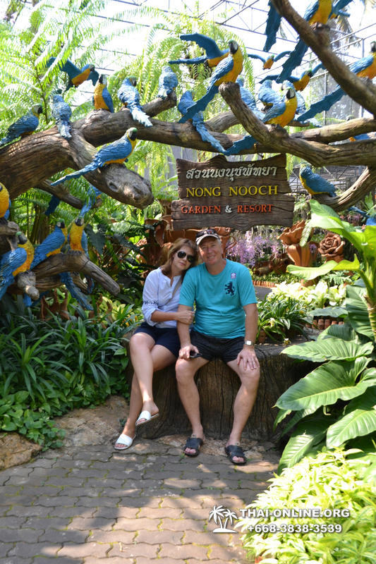 Travel to Nong Nooch Tropical Garden in Pattaya Thailand photo 18