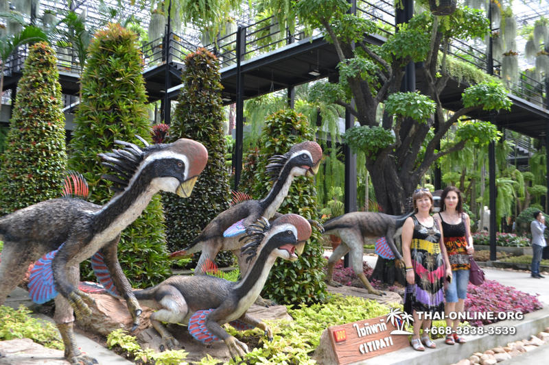 Travel to Nong Nooch Tropical Garden in Pattaya Thailand photo 12