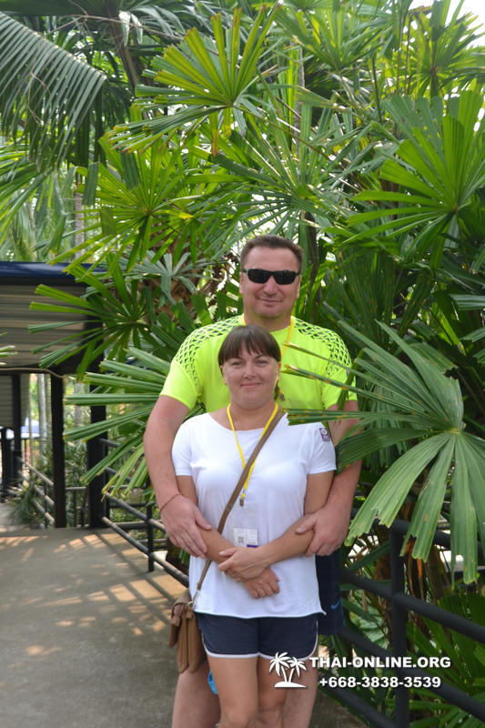Travel to Nong Nooch Tropical Garden in Pattaya Thailand photo 457