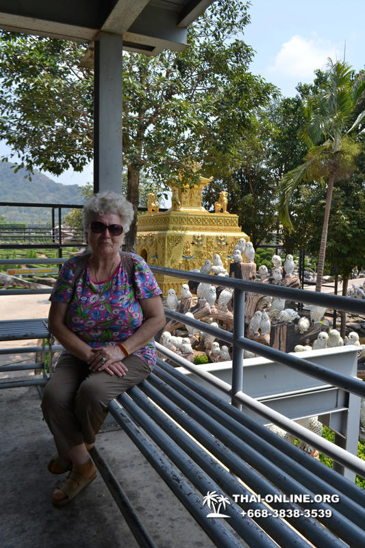 Nong Nooch Tropical Garden with shuttle-bus excursion, lunch, elephant show, Thai folklore show and Pattaya Snake Show guided tour photo 32
