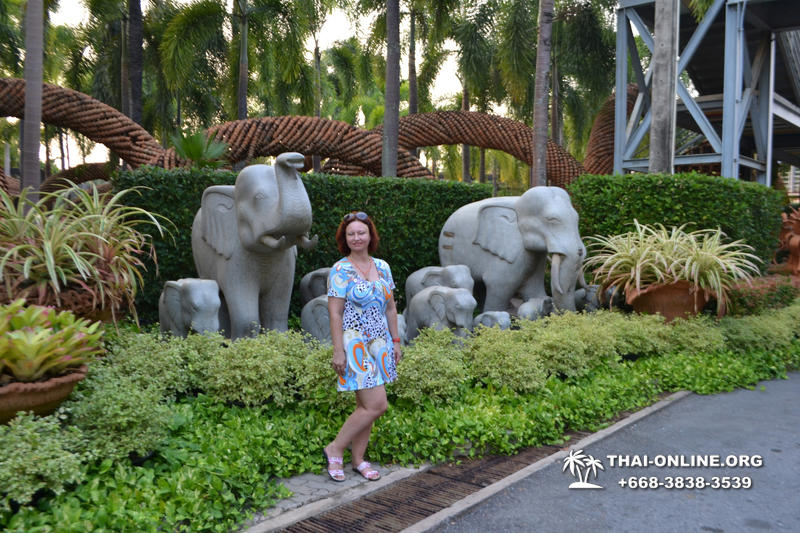 Travel to Nong Nooch Tropical Garden in Pattaya Thailand photo 153