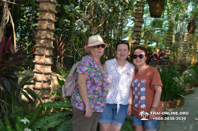 Travel to Nong Nooch Tropical Garden in Pattaya Thailand photo 169
