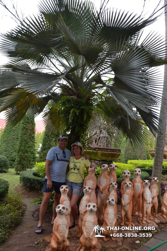 Travel to Nong Nooch Tropical Garden in Pattaya Thailand photo 185