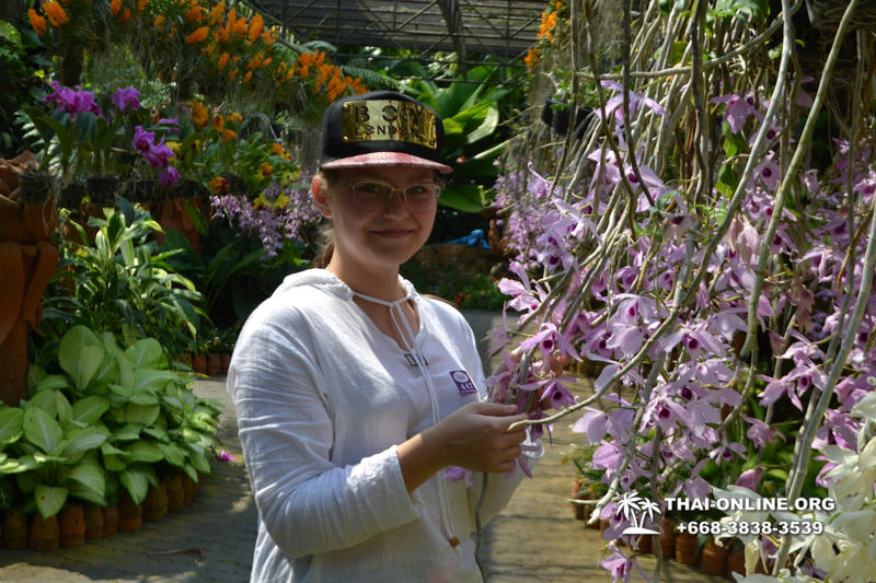 Travel to Nong Nooch Tropical Garden in Pattaya Thailand photo 372