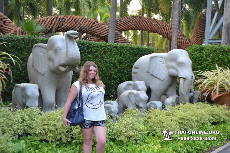Travel to Nong Nooch Tropical Garden in Pattaya Thailand photo 351