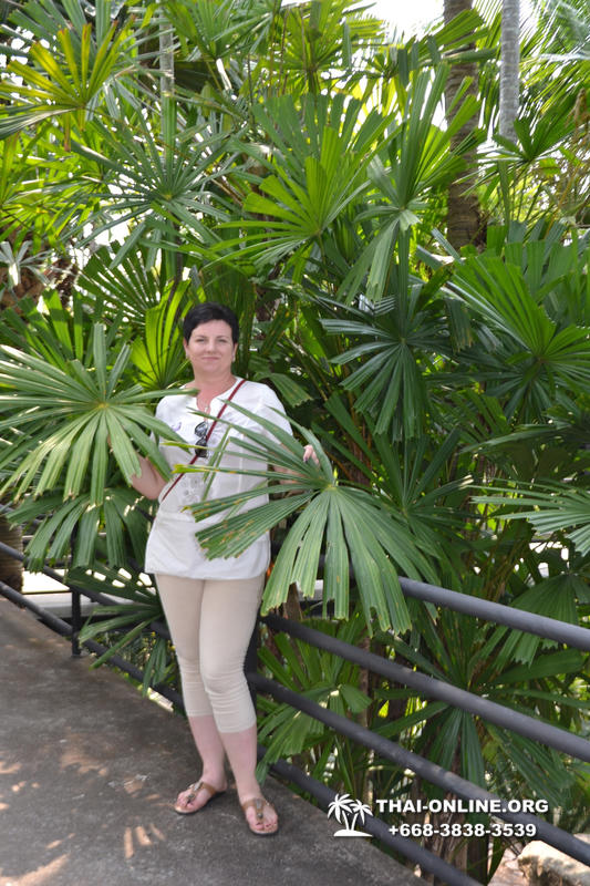 Travel to Nong Nooch Tropical Garden in Pattaya Thailand photo 173