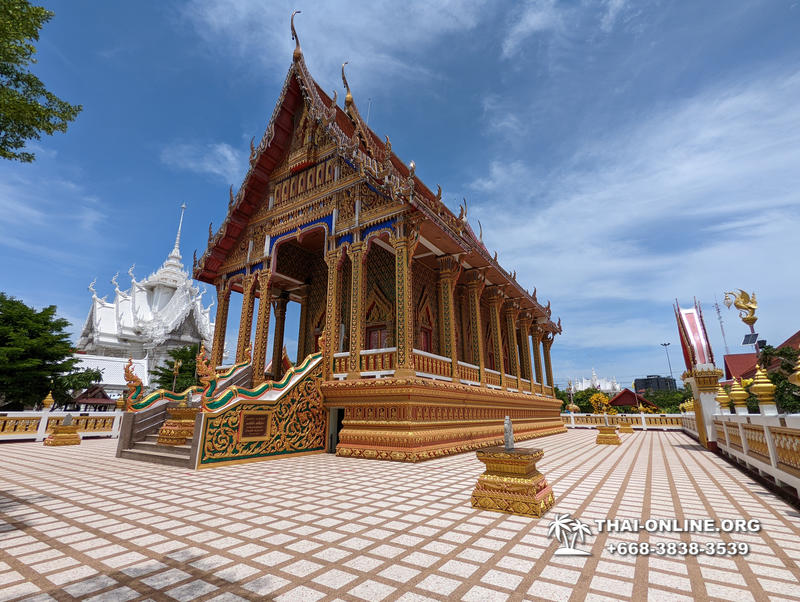 Positive Tour excursion in Pattaya Thailand - photo 16