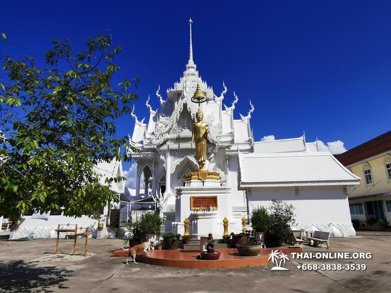 Positive Tour excursion in Pattaya Thailand - photo 25