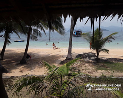 Koh Chang with The Dewa Hotel tour 7 Countries Pattaya - photo 76