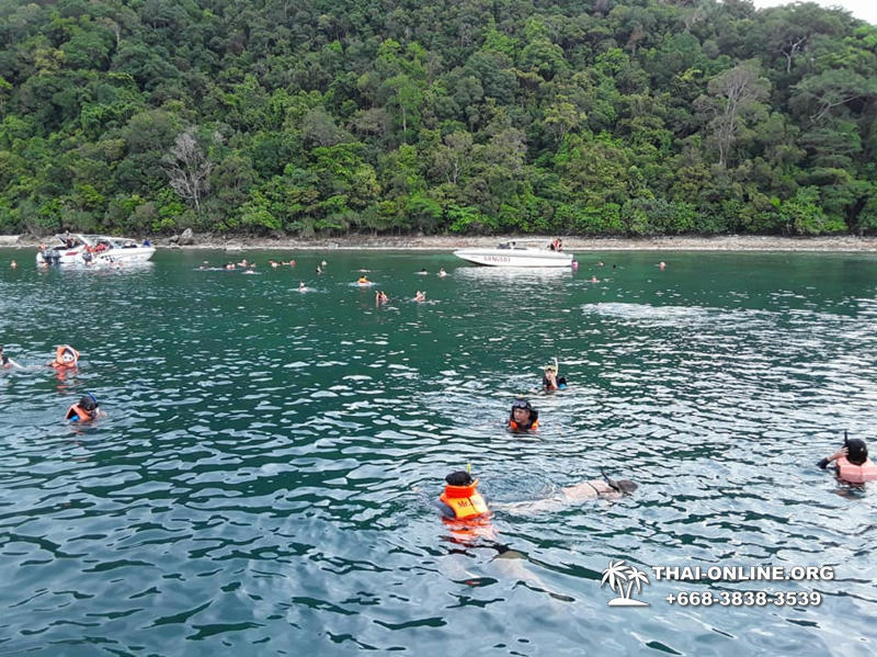 Koh Chang with The Dewa Hotel tour 7 Countries Pattaya - photo 36