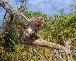 Sea cruise tour Madagascar Express with 7 Countries Pattaya photo 175