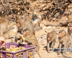 Madagascar Express sea excursion Seven Countries Pattaya photo 332