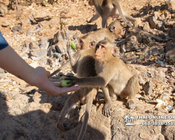 Madagascar Express sea excursion Seven Countries Pattaya photo 202