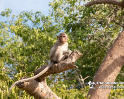 Madagascar Express sea excursion Seven Countries Pattaya photo 233