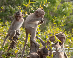 Sea cruise tour Madagascar Express with 7 Countries Pattaya photo 475