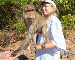 Sea cruise tour Madagascar Express with 7 Countries Pattaya photo 418