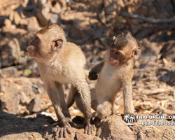 Madagascar Express sea excursion Seven Countries Pattaya photo 586