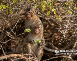 Madagascar Express sea excursion Seven Countries Pattaya photo 265