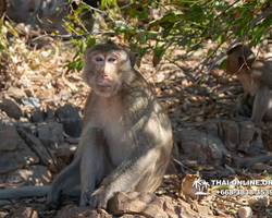 Madagascar Express sea excursion Seven Countries Pattaya photo 327