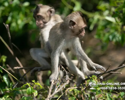 Sea cruise tour Madagascar Express with 7 Countries Pattaya photo 1070