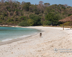 Sea cruise tour Madagascar Light with 7 Countries Pattaya photo 32