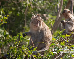 Madagascar Express sea excursion Seven Countries Pattaya photo 340