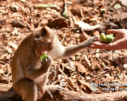 Sea cruise tour Madagascar Express with 7 Countries Pattaya photo 176